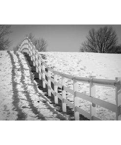 "Endless Fences" Black and White Landscape Photo Unframed Wall Art Print, 16"x20