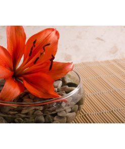 "Tranquil Lily" Nature Photography, Floral Unframed Wall Art Print, 16"x20"