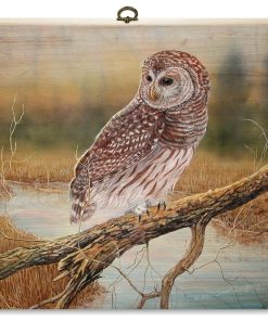 "Early Hunter Owl" Cutting Board, 12"X12"