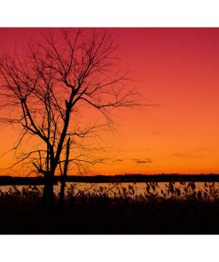 "Burning Skies" Landscape Photo, Rural Unframed Wall Art Print, 16"x20"