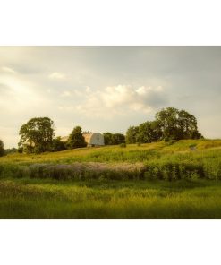 "Remnant of Better Days" Landscape Photo, Rural Unframed Wall Art Print, 16"x20"