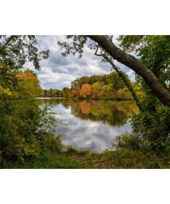 "Lost in Autumn Color" Landscape Photo, Rural Unframed Wall Art Print, 16"x20"
