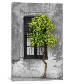 "Tree in Front of Window Green Pop Color Pop" by Panoramic Images, 26x18x0.75"