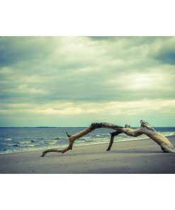 "The Cove" Landscape Photo Unframed Wall Art Print, 16"x20"