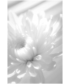"Infrared Flower" Nature Photography, Floral Unframed Wall Art Print, 16"x20"