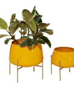 Yellow Metal Modern Planter Set of 2 8", 10"H