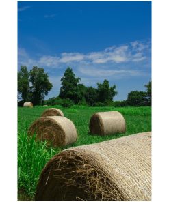 "Hay Whatcha doin in the Field" Rural Unframed Wall Art Print, 16"x20"