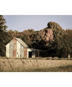 "Patriotic Barn in Field Aged" Landscape Photo Unframed Wall Art Print, 16"x20"