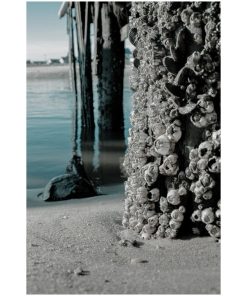 "Land Meets Water" Nature Photography, Coastal Unframed Wall Art Print, 16"x20"