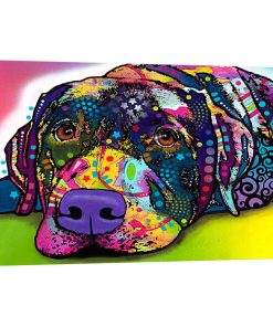 "Savvy Labrador" Wrapped Canvas Art Print, 18x12x0.75