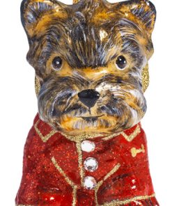 Yorkshire Terrier in Puffy Coat