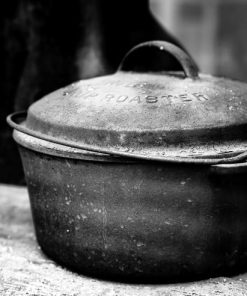 "Cast Iron" 8x10 Photography by Alix Collins
