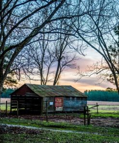 "Farm Morning" 8x10 Photography by Alix Collins