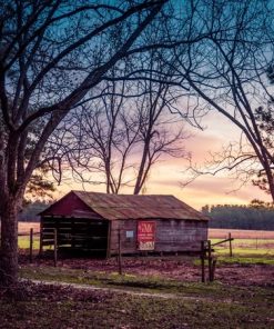 "Farm Sunset" 8x10 Photography by Alix Collins