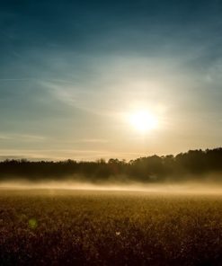 "Morning Mist" 8x10 Photography by Alix Collins