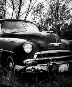 "Chevrolet Style" 8x10 Photography by Alix Collins