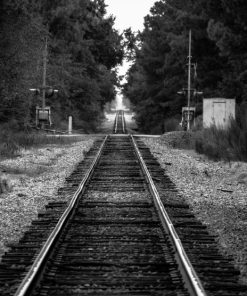 "Straight Lines" 8x10 Photography by Alix Collins