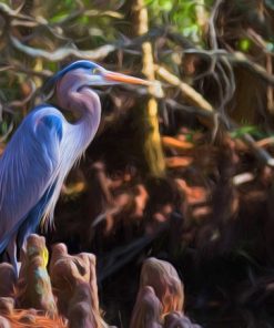 "Blue Heron Pose" 8x10 Photography by Alix Collins
