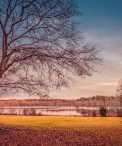 "Peaceful Sunset" 8x10 Photography by Alix Collins