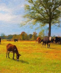 "Farm Friends" 8x10 Photography by Alix Collins