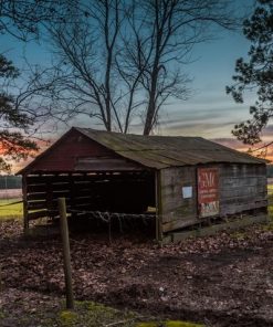 "Farm Vibrance" 8x10 Photography by Alix Collins