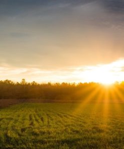 "Farm Sunrise" 8x10 Photography by Alix Collins