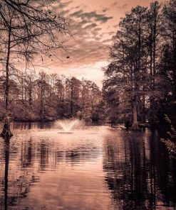 "Copper Reflections" 8x10 Photography by Alix Collins