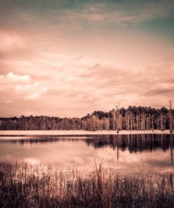 "Lost in the Clouds" 8x10 Photography by Alix Collins